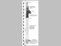 stratigraphic column of Strelley Pool Formation.jpg